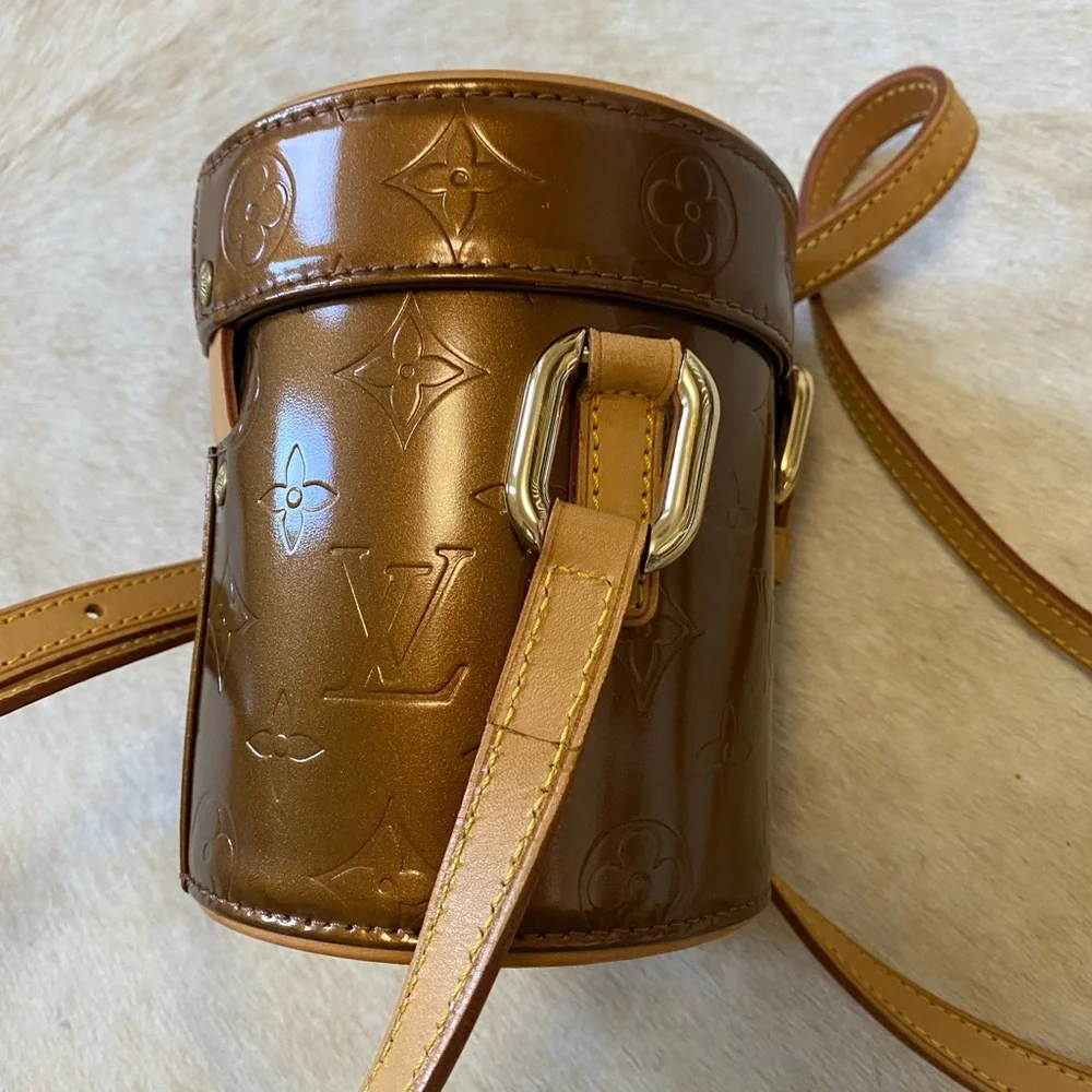 Louis Vuitton RARE vanity Brown Crossbody Bag LIKE NEW